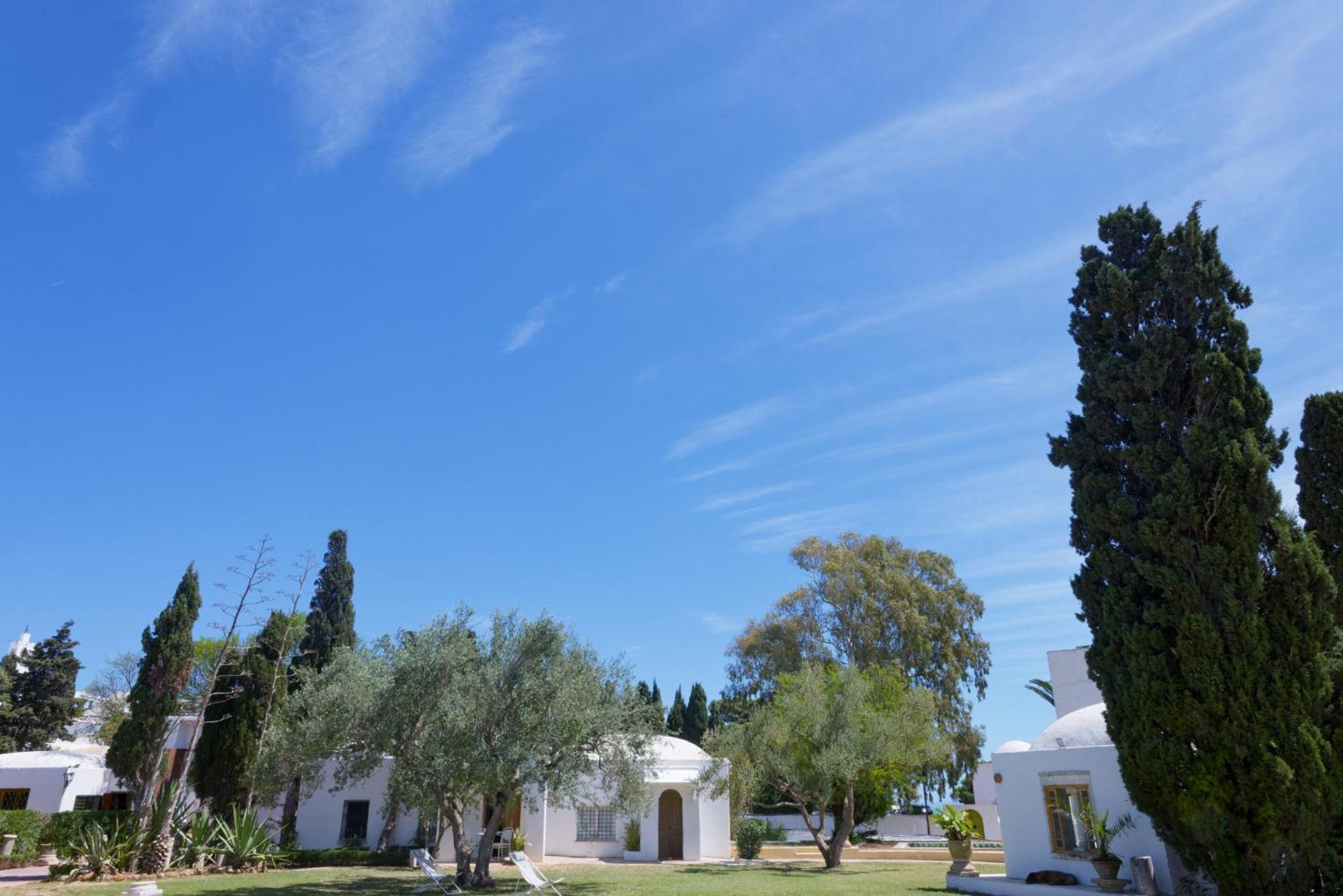 Lella Zohra, Studio Avec Piscine A Sidi Bou Said Bed & Breakfast Ngoại thất bức ảnh
